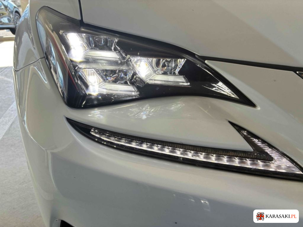 2014 Lexus RC RC300H F Sport 9