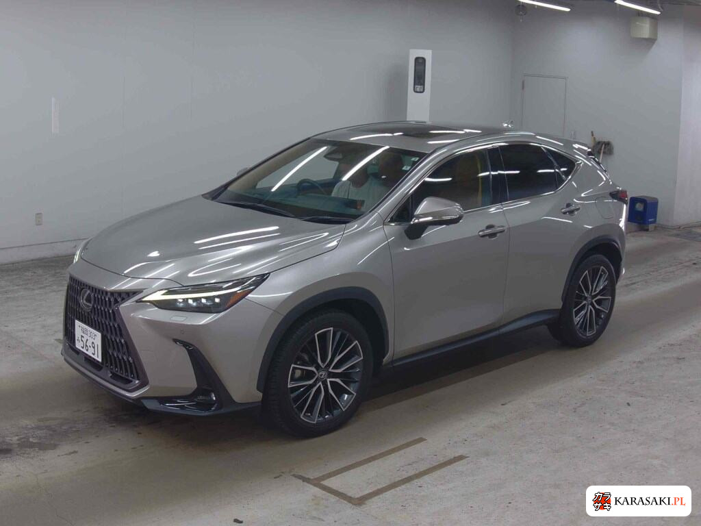 Lexus NX 2022 z aukcji japońskiej