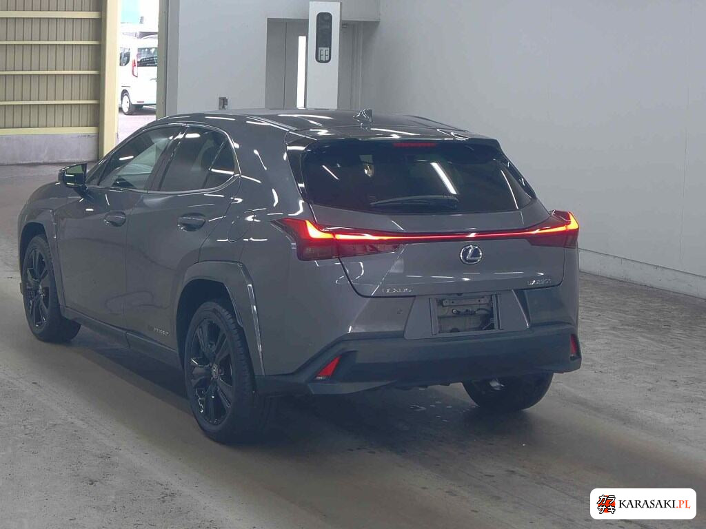 Lexus Ux 2021 z aukcji japońskiej