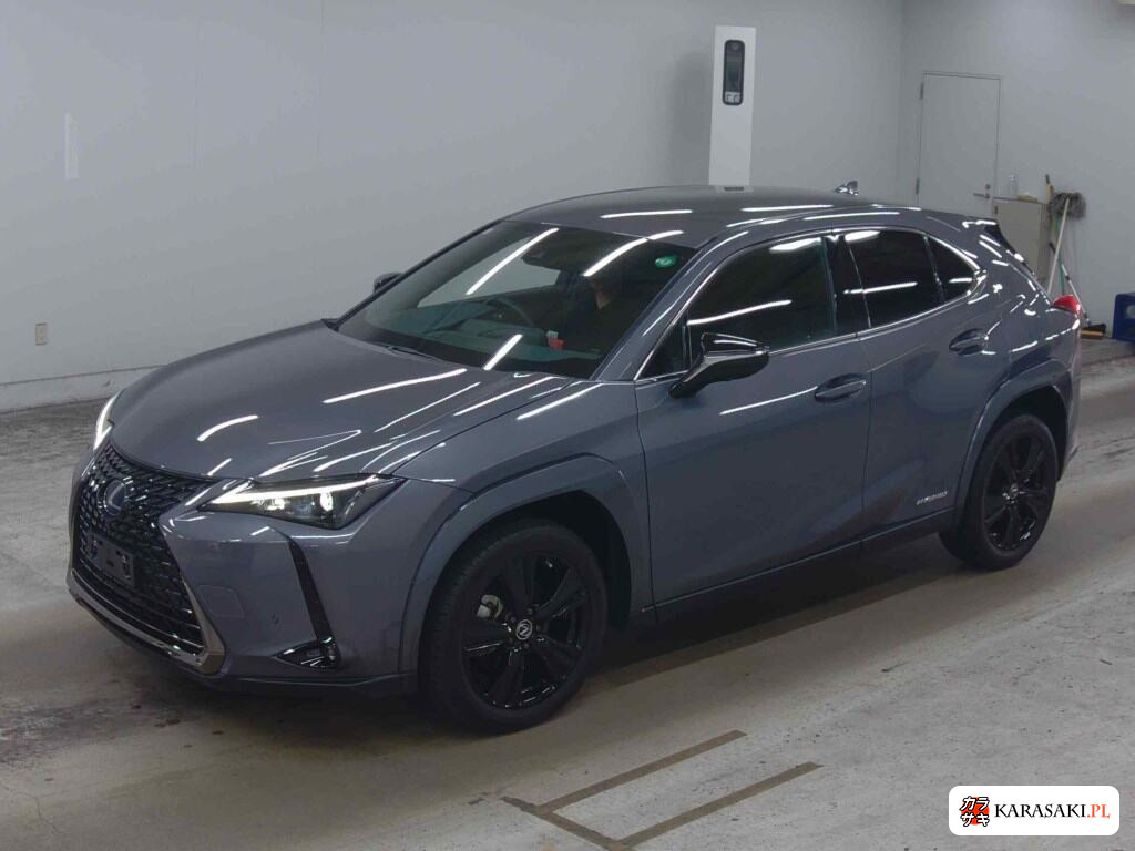 Lexus Ux 2021 z aukcji japońskiej