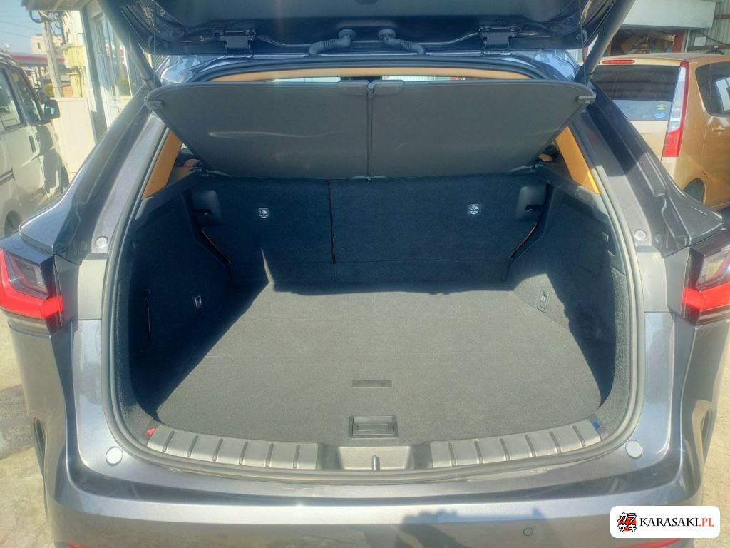 Lexus NX 2025 z aukcji japońskiej