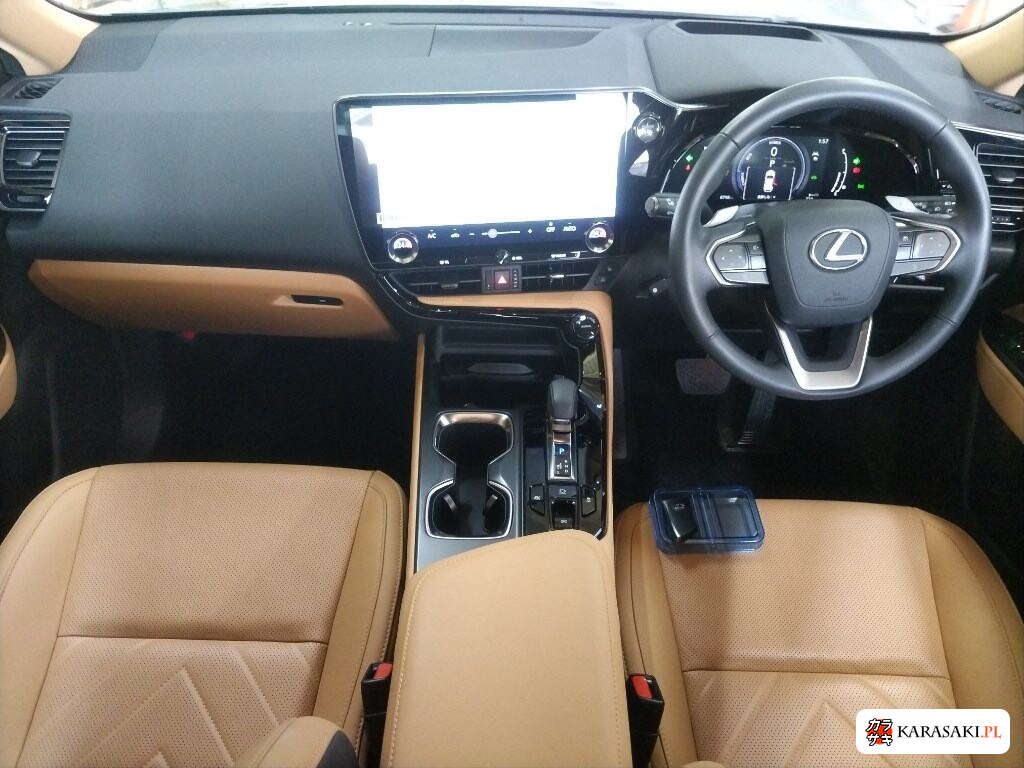 Lexus NX 2025 z aukcji japońskiej