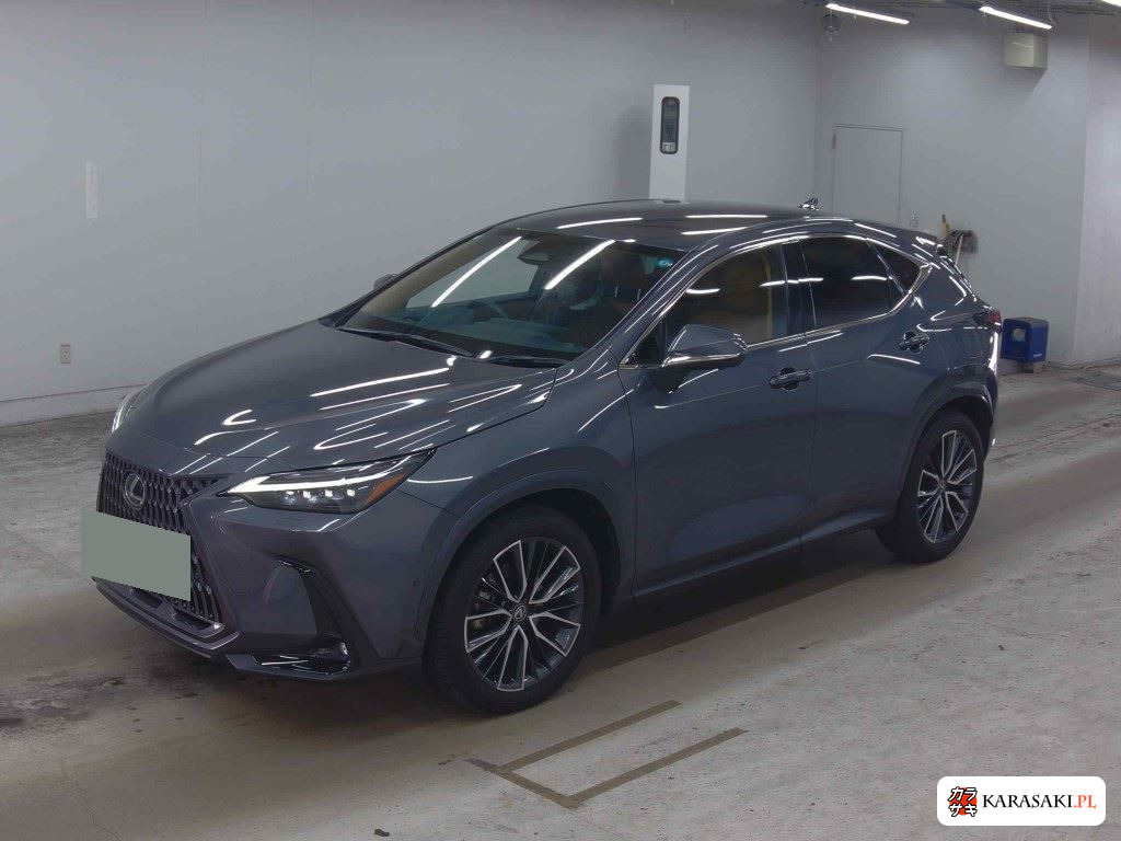 Lexus NX 2025 z aukcji japońskiej