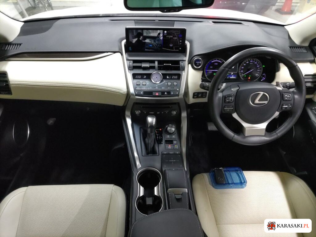 Lexus NX 2019 z aukcji japońskiej