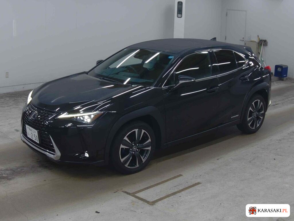 Lexus Ux 2021 z aukcji japońskiej