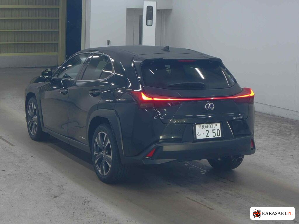 Lexus Ux 2021 z aukcji japońskiej