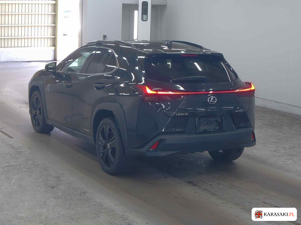 Lexus Ux 2021 z aukcji japońskiej