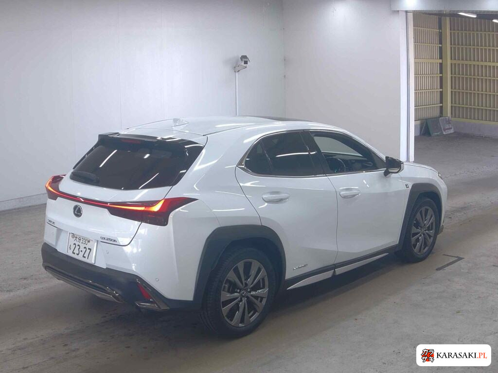 Lexus Ux 2019 z aukcji japońskiej