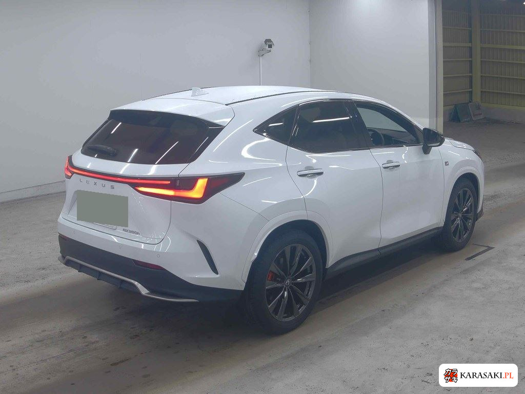 Lexus NX 2023 z aukcji japońskiej